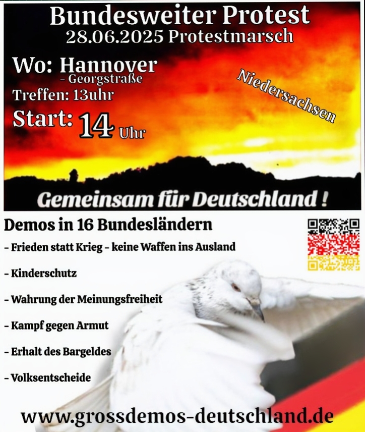 Bild 4 Preview